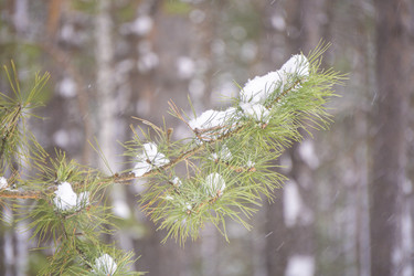 Similar image 21708715