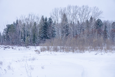 Similar image 21708717