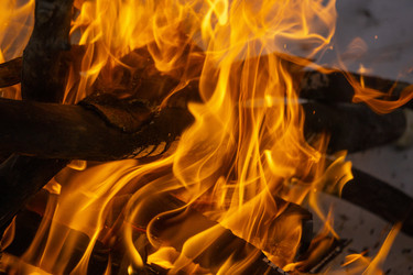 Similar image 21708721