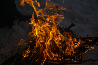 Similar image 21708726