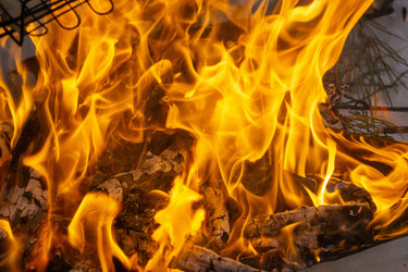 Similar image 21708728