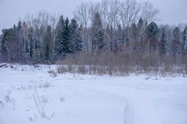 Similar image 21708731