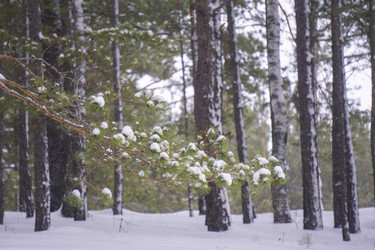 Similar image 21708732