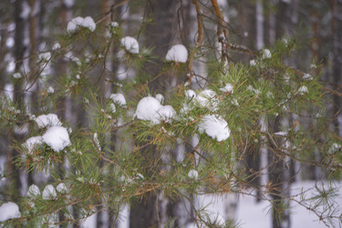 Similar image 21708733