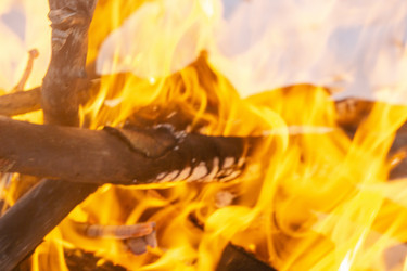 Similar image 21708738