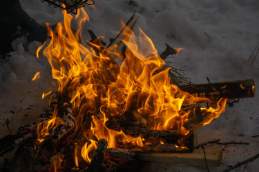 Similar image 21708741