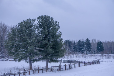 Similar image 21708742