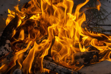 Similar image 21708743