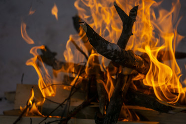 Similar image 21708744