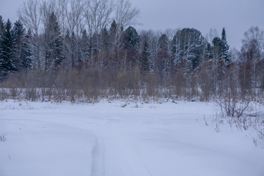 Similar image 21708745