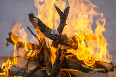 Similar image 21708746