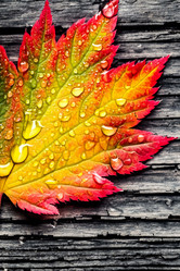 Similar image 21719143