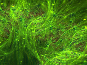 Similar image 21713264