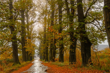 Similar image 21719146