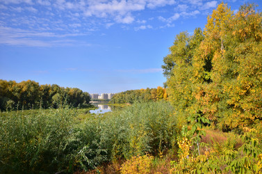 Similar image 21707915