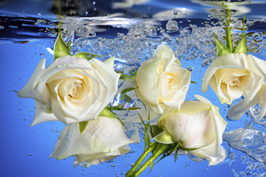 Similar image 21719147