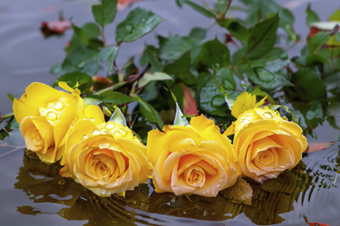 Similar image 21719154