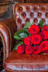 Similar image 21719155