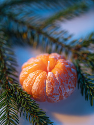 Similar image 21707701