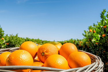 Similar image 21719161