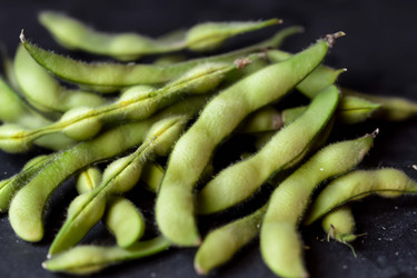 Similar image 21719162