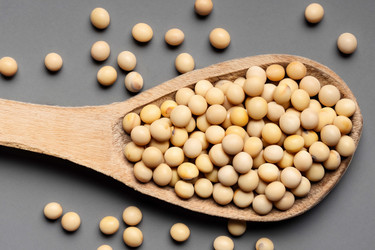 Similar image 21719166