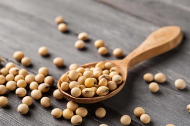 Similar image 21719169