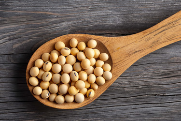 Similar image 21719170