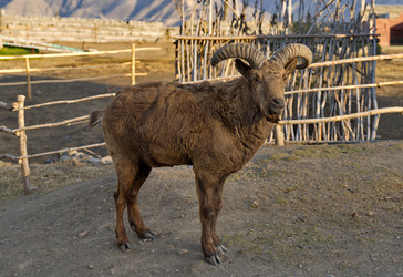 Similar image 21710494