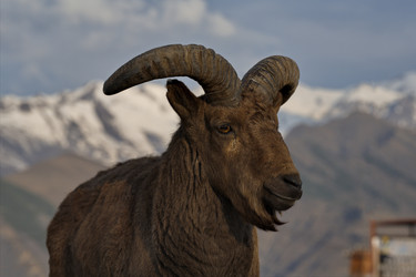 Similar image 21710495