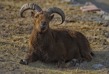 Similar image 21710496