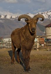 Similar image 21710498