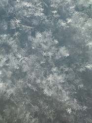 Similar image 21709570