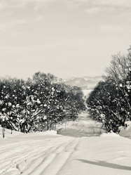 Similar image 21709572