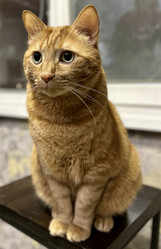 Similar image 21709574