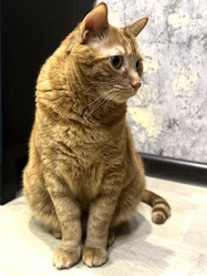 Similar image 21709575