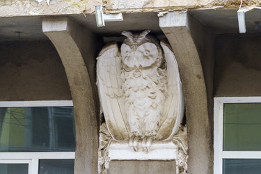 Similar image 21709577