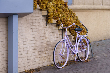 Similar image 21710132