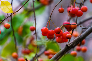 Similar image 21711065