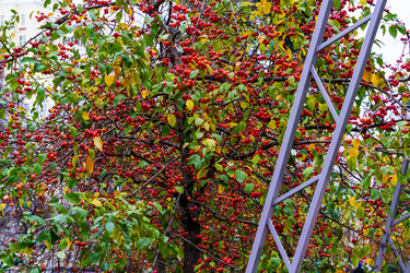 Similar image 21711066