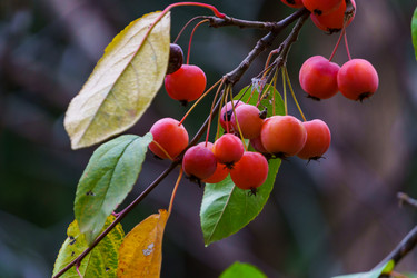 Similar image 21711067