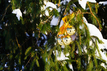 Similar image 21711581