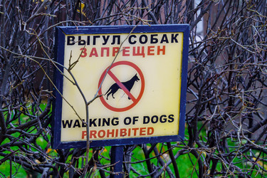 Similar image 21711426