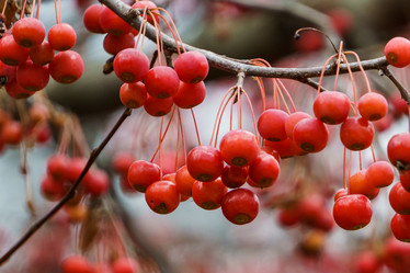 Similar image 21711427