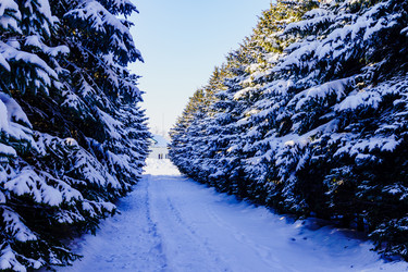 Similar image 21714250