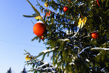 Similar image 21714252