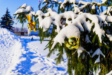 Similar image 21714253