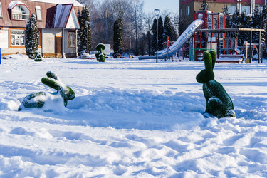 Similar image 21714254