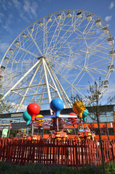 Similar image 21709685