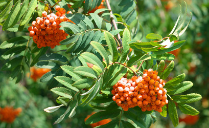 Similar image 21709698